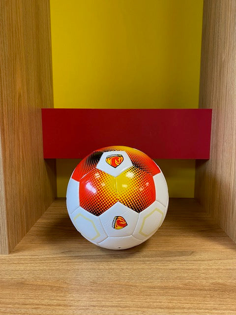 Ballons de Collection Football Le Mans FC