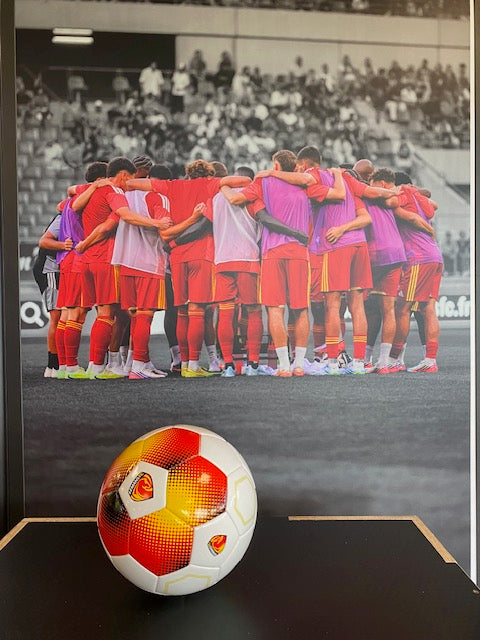 Ballons de Collection Football Le Mans FC